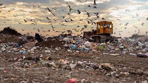 Crowdfunding - CHEGA DE LIXO