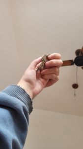 Nos ajude com a mudança! - Sofia e Daniel ♡