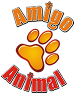 Ajude a ONG Amigo Animal 🐾