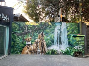 Acrofun - nos ajude a te ajudar - Acrofun- nos ajude a te ajudar 🙏🏼