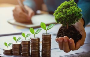 Vaquinha Online - Programa Licencie!