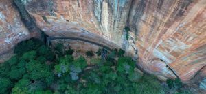 Financiamento Coletivo - Vox: seu twitter de voz