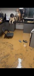 Almirante Tamandaré/PR - Ajude o Eduardo que foi prejudicado por enchente.