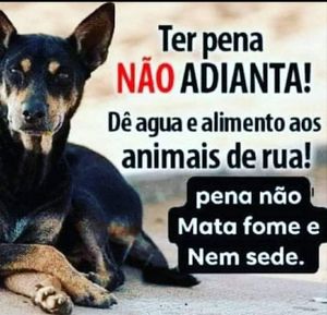 Vaquinha Online - Ajude nossos melhores amigos 