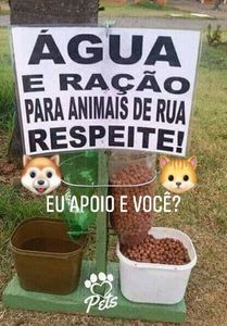 Ajude nossos melhores amigos  imagem 7