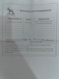 AJUDE O MIAU 🐈‍⬛ 🚨 - AJUDE O MIAU 🐈‍⬛🚨