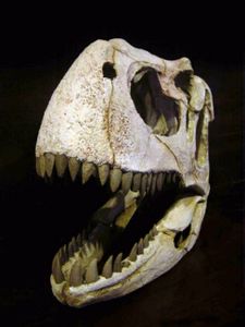 null - Ajude a salvar Carlos Scarpini o Sr. Dinossauro brasileiro