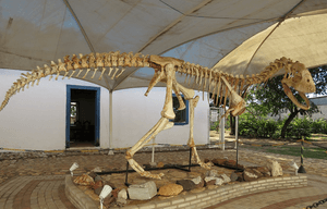 Saúde e Emergências - Ajude a salvar Carlos Scarpini o Sr. Dinossauro brasileiro