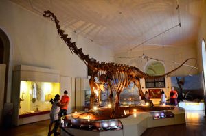 Manaus/AM - Ajude a salvar Carlos Scarpini o Sr. Dinossauro brasileiro