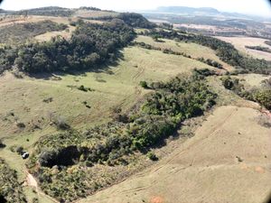 Restauração Florestal - Restauração florestal