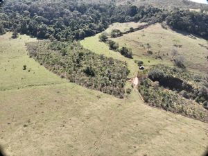 Dia de Doar - Restauração florestal