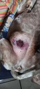 Vaquinha Online - Oi aumigos me ajudem a realizar minha cirurgia 