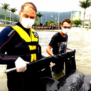 Financiamento Coletivo - AJUDE OS ANJOS DO MAR A RESGATAR ANIMAIS MARINHOS!!!