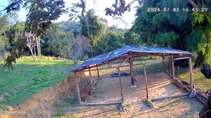 Construção do Alto de Odé – Aldeia Ancestral do Amanhã