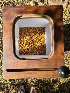 Rio Claro/SP - Whelpy Box - Nos ajude a realizar nosso sonho!!