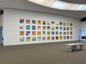 CATÁLOGO EXPOSIÇÃO RAFAEL VICENTE NO MAC - CATÁLOGO EXPOSIÇÃO RAFAEL VICENTE NO MAC NITERÓI