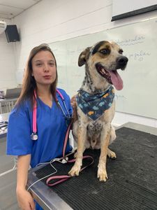 Minha Formatura Medicina Veterinária 