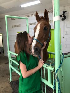 Educação - Minha Formatura Medicina Veterinária 