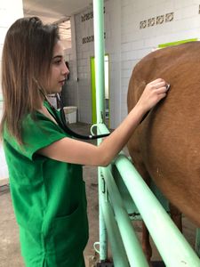 Minha formatura  - Minha Formatura Medicina Veterinária 