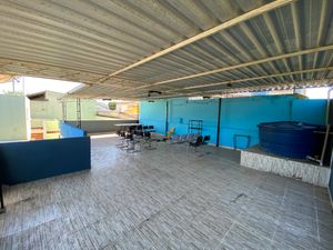 ONGs - Trupe Miolo Mole: Ajude na Construção da nossa Sala de Aula