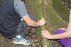 Vivência na Natureza - Instituto UNO 2025 imagem 6