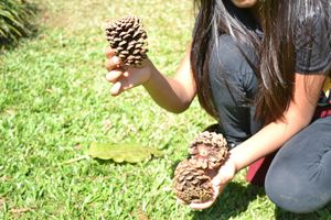 Financiamento Coletivo - Vivência na Natureza - Instituto UNO 2025