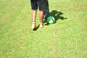 Instituto UNO - Vivência na Natureza - Instituto UNO 2025