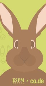 Vaquinha Online - Seja o Coelhinho do Abrigo João Paulo II