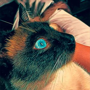 Doar é Amor - Doar é um ato de Amor