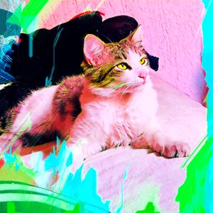 Financiamento Coletivo - Doar é um ato de Amor