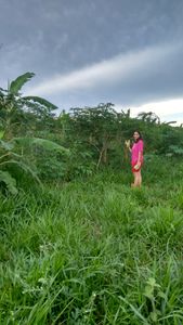 Reforesting the world imagem 8