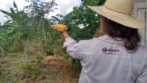 Reforesting the world imagem 6