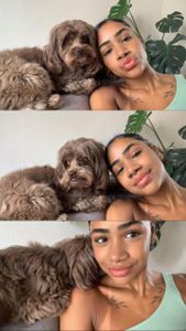 Animais - Ajude a salvar minha cachorrinha 🐶🤍