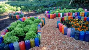 Vaquinha Online - PROJETO VERDE