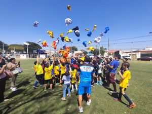 ONGs - Projeto Vencer - 2026