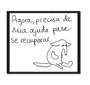 São Paulo/SP - De Quebrada Para Saltitante: Ajude Lili!
