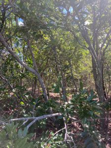 Faça parte da construção de uma comunidade alternativa imagem 6