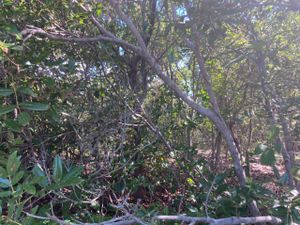 null - Faça parte da construção de uma comunidade alternativa