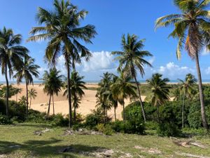 Faça parte da construção de uma comunidade alternativa imagem 7