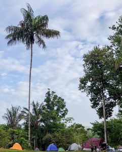 Empreendedorismo e Pequenos Negócios - Seja um Guardião da Cachoeira Natal!!!
