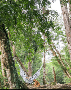 Natal Falls Camping - Seja um Guardião da Cachoeira Natal!!!