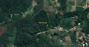 Financiamento Coletivo - Colabore com as Atividades de  Conservação de Área de Mata Atlântica do Sítio Eridú