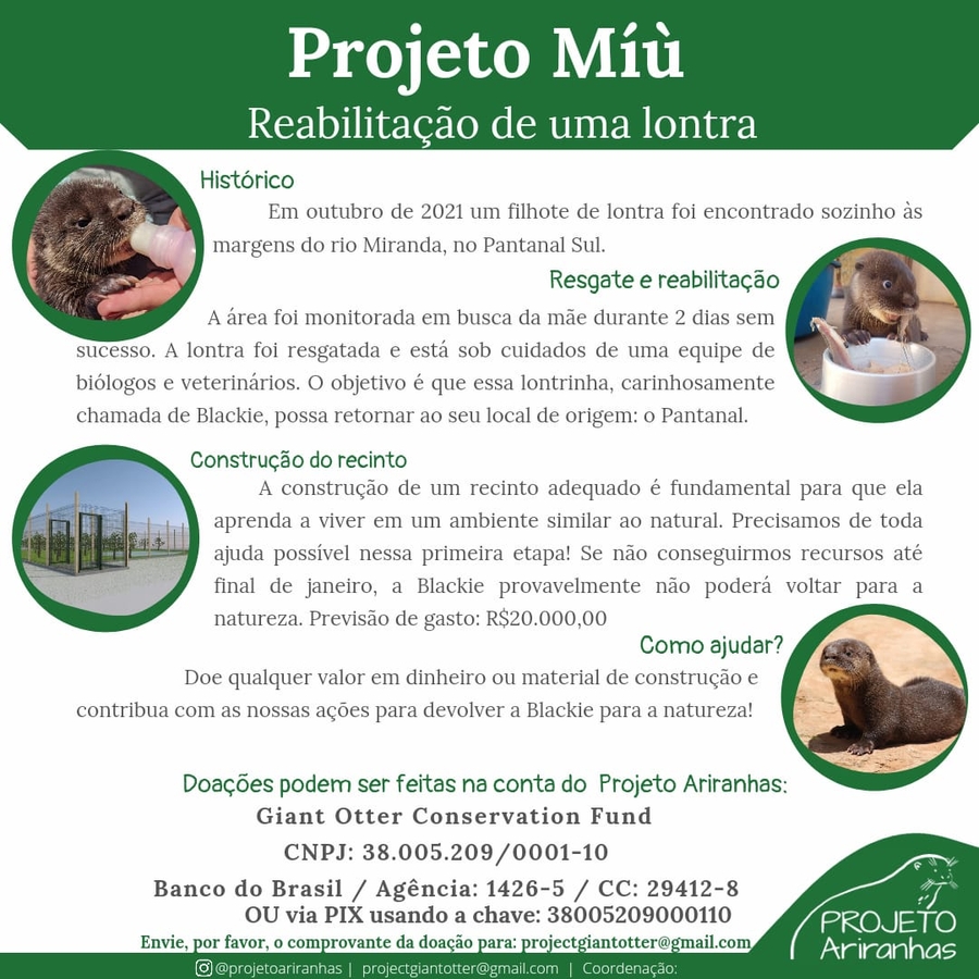 Vaquinha Online - Projeto Míù - Reabilitação de uma lontra
