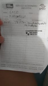 Animais - Ajude a salvar a vida de Chico 🐾