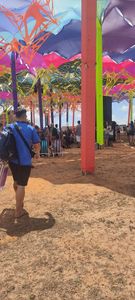 Arte - Tudo 13 'A ARTE '.