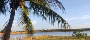 Caraúbas/RN - Tudo 13 'A ARTE '.