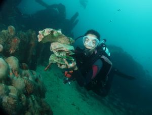 Revolução dos Banquinhos imagem 10