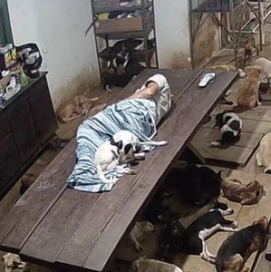 Vaquinha Online - Ajude a salvar esses animais