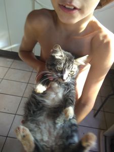 Nos ajude salvar os gatinhos das ruas imagem 7