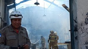 Vaquinha Online - Resgatando a Dell'Abitare das CINZAS!